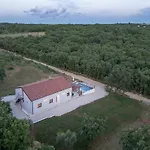 Bibali * Buje